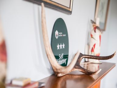 A wooden antler displayed on a wooden surface next to a tourism northern ireland three star self catering plaque at Shepherds Retreat in Gortin
