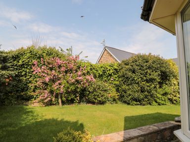 A garden with green grass shrubs and a small tree with pink flowers at The Croft in Longhoughton near Alnwick