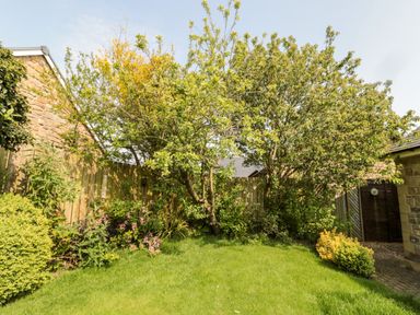 A garden with trees bushes and grass next to a wooden fence and stone buildings at The Croft in Longhoughton near Alnwick
