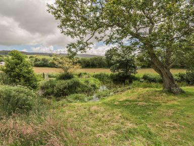 A grassy garden area with trees shrubs and a small pond at Bank End Barn in Grizebeck