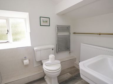 A bathroom with a toilet a towel rail a window and a sink at Hall Bank Cottage in Rydal near Ambleside