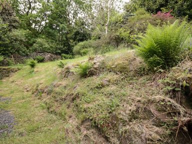 A grassy garden area with ferns and a stone wall in a wooded setting at Hall Bank Cottage in Rydal near Ambleside