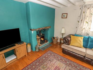 A living room with a wood burning stove a television on a wooden cabinet a brown sofa with cushions a patterned rug and a floor lamp at Snowdrop Cottage in Laugharne