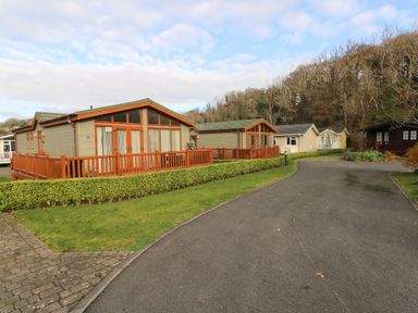 A paved road with small houses and green hedges along the side and trees in the background at The Retreat in Wisemans Bridge near Saundersfoot