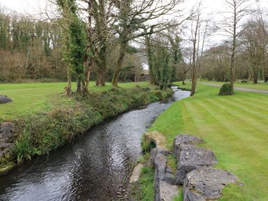 A small river flowing between trees and grassy banks with a stone wall and a road at The Retreat in Wisemans Bridge near Saundersfoot