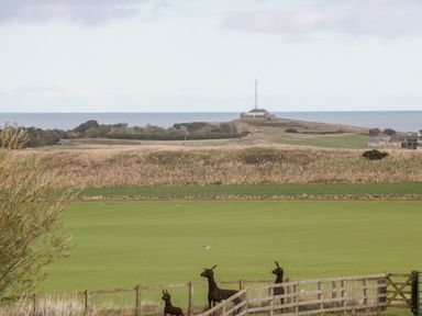 A grassy field with metal animal sculptures near a fence and a building with an antenna by the sea in the distance at Bank Top Cottage in Embleton