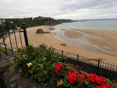 A beach with sandy shore and rocky hills in the background viewed over a stone wall with red and green plants at 1 Beachtop Court Tenby
