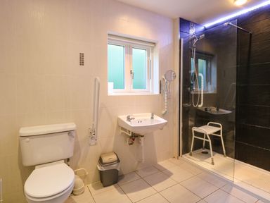 A bathroom with a toilet sink and a walk in shower with a chair at Rookyard Cottage in Holton near Halesworth
