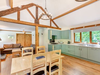 An open kitchen and dining area with wooden beams a dining table with chairs and green cabinets at Ploony Hill Lodge in Bleddfa