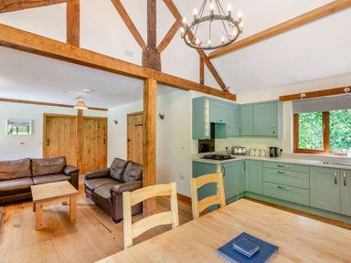 An open plan kitchen and living area with wooden beams green cabinets and brown leather sofas at Ploony Hill Lodge in Bleddfa