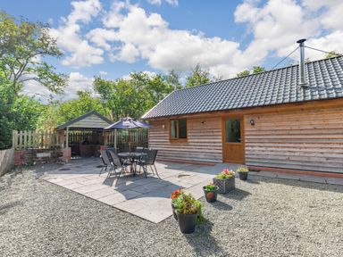 A wooden cabin with a tiled roof patio furniture and flower pots outside at Ploony Hill Lodge in Bleddfa
