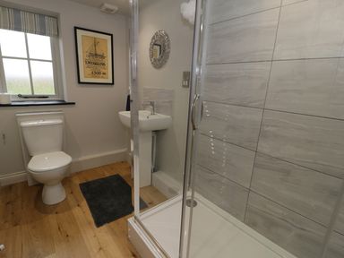 A bathroom with a toilet sink shower and framed picture on the wall at Horseshoe Cottage in Abersoch