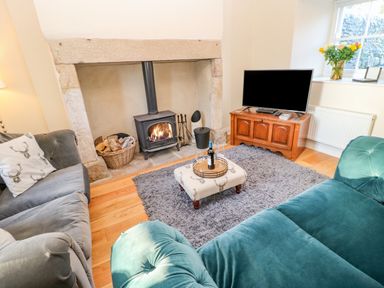 A living room with a fireplace sofa television and flowers on the windowsill at East Farmhouse Cottage in Humshaugh near Hexham