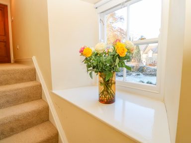 A vase with colorful roses on a window sill near carpeted stairs at East Farmhouse Cottage Humshaugh near Hexham