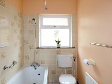 A bathroom with a bathtub shower toilet potted plant on window sill and towel rail at Rossbeigh Beach Cottage No 6 Rossbeigh near Glenbeigh County Kerry