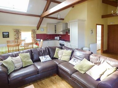 An open plan living area with brown leather sofas and a kitchen with white cabinets and red backsplash at Bran Goesgoch in Holyhead