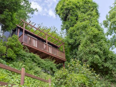 A wooden balcony with a pergola surrounded by dense green foliage and trees at Clooneavin Apartment 8 in Lynmouth near Lynton