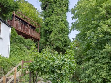 A wooden balcony attached to a house surrounded by dense green trees and plants at Clooneavin Apartment 8 Lynmouth near Lynton