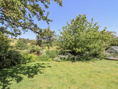 A garden with trees bushes and a greenhouse at Dyffryn Bach in Glan-yr-afon near Corwen