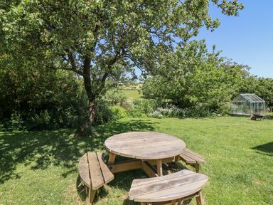 A wooden picnic table and benches on grass under a tree with bushes and a greenhouse in the background at Dyffryn Bach in Glan-yr-afon near Corwen