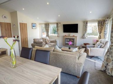 A living room with beige sofas a wall mounted television and flowers on a table at Clearview Lodge in Borth