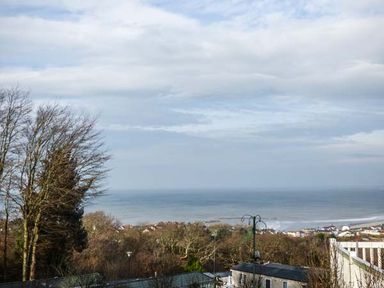 A coastal view with trees and rooftops in the foreground and the sea and sky in the background at Clearview Lodge in Borth