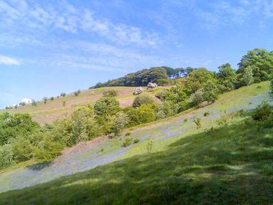 A hillside with trees and patches of grass under a blue sky at Squirrel Lodge in Gargrave near Skipton
