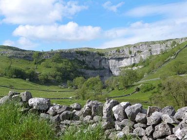 A countryside landscape with stone walls trees and hills at Squirrel Lodge in Gargrave near Skipton