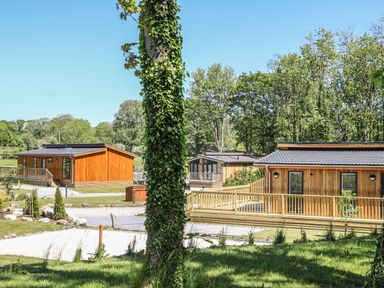 Wooden lodges with decks surrounded by trees and grass at Squirrel Lodge in Gargrave near Skipton