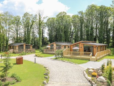 Three wooden lodge cabins with decks situated on green lawns and surrounded by tall trees at Squirrel Lodge in Gargrave near Skipton