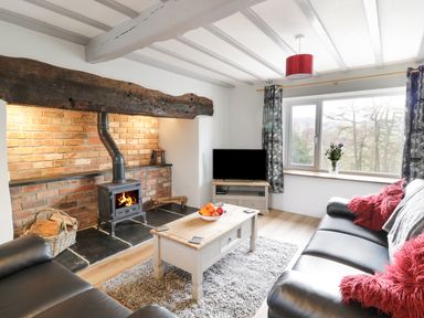 A living room with a wood burning stove coffee table and sofas at Bryndan in Machynlleth