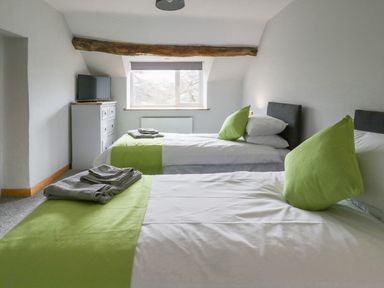 A bedroom with two single beds with green accents a window a chest of drawers and a television at Bryndan in Machynlleth