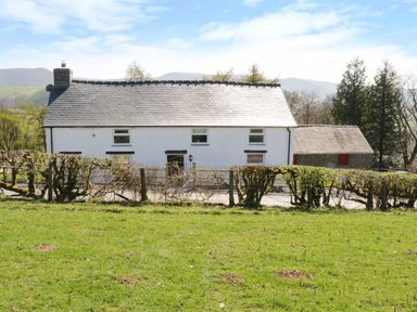 A white house with a slate roof behind trimmed hedges and a grass field at Bryndan in Machynlleth