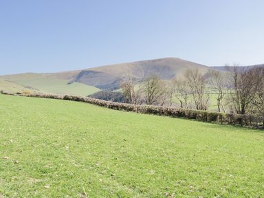 A green grassy field with a hedge and trees in front of rolling hills and a clear sky at Bryndan in Machynlleth