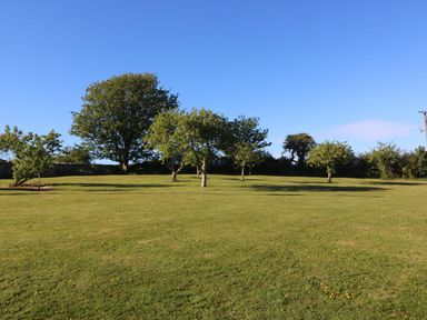 A grassy area with several trees at Nyth Y Wennol in Abersoch
