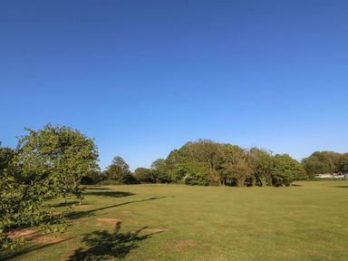 A field with trees under a clear sky at Nyth Y Wennol in Abersoch