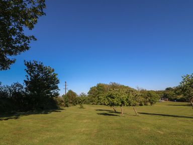 A grassy area with trees and a power pole at Nyth Y Wennol Abersoch