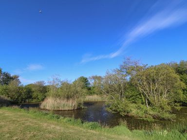 A scenic view of water bodies and trees at Nyth Y Wennol in Abersoch