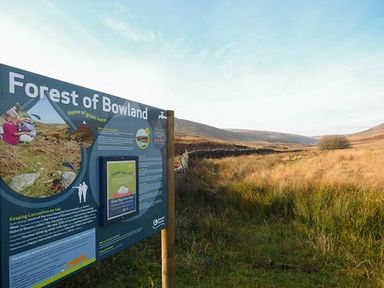 An information board about Forest of Bowland next to a grassy path in a rural landscape at Park Brook Retreat in Scorton