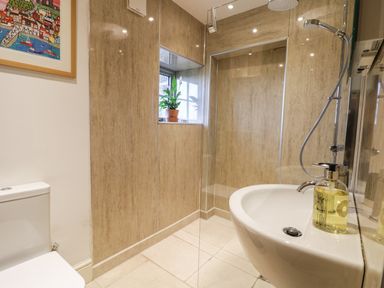 A bathroom with a toilet sink shower and a plant on the window sill at Cottage Val in Ravenscar