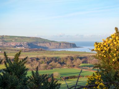 A coastal landscape with green fields and cliffs by the sea with yellow flowers in the foreground at Cottage Val in Ravenscar