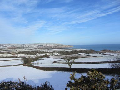 A snowy rural landscape with fields separated by hedges and a tree with a view of the sea at Cottage Val in Ravenscar