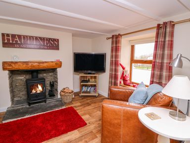 A living room with a fireplace TV and leather armchairs at Bank House in Capel Iwan near Newcastle Emlyn