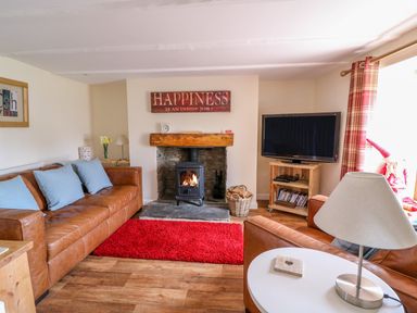 A living room with brown leather sofas a fireplace with a fire a red rug a television on a wooden stand and a lamp on a table at Bank House in Capel Iwan near Newcastle Emlyn