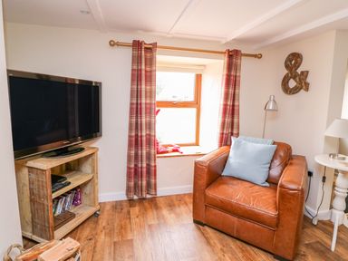 A corner of a living room with a leather armchair next to a window with plaid curtains and a television on a wooden stand at Bank House in Capel Iwan near Newcastle Emlyn