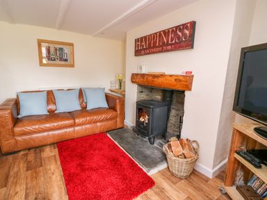 A living room with a brown leather sofa blue cushions wood burning stove and red rug at Bank House in Capel Iwan near Newcastle Emlyn