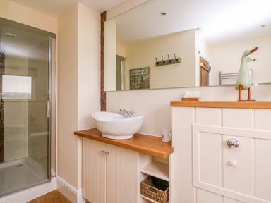 A bathroom with a sink on a wooden countertop a shower with glass door and a shelf with a basket at Bank House in Capel Iwan near Newcastle Emlyn