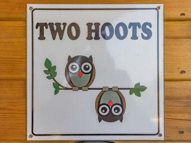 A sign with two cartoon owls on a branch and the text two hoots on wood background at Two Hoots in Northop
