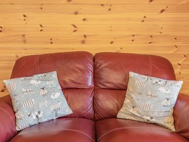 A red leather sofa with two patterned cushions against a wooden wall at Two Hoots in Northop