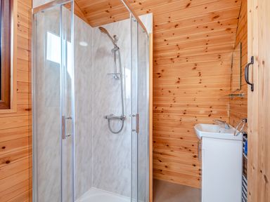 A shower with glass doors and a sink with a mirror in a wooden paneled bathroom at Ewe Two in Oakenholt near Northop